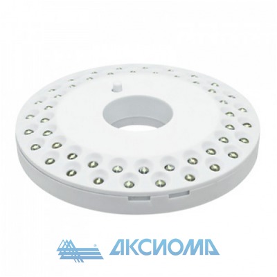   L 02W 5W 48LED 300Lm 3AA /  IN HOME