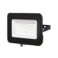   PFL- 30W RGB BL IP65  Jazzway