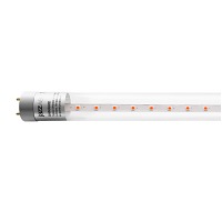   PLED T8 600 Agro 8w CL G13 (  ) Jazzway