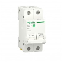  2 16 6 C (R9F12216) RESI9 Schneider Electric