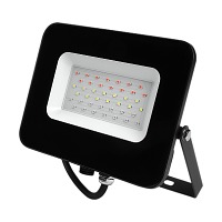   PFL-30W RGB BL IP65  Jazzway